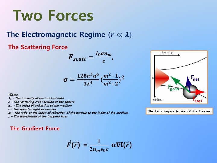  Two Forces The Electromagnetic Regime of Optical Tweezers The Gradient Force 