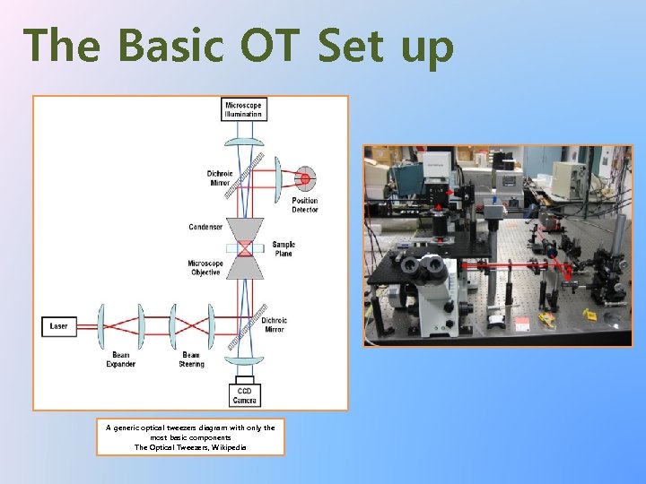 The Basic OT Set up A generic optical tweezers diagram with only the most