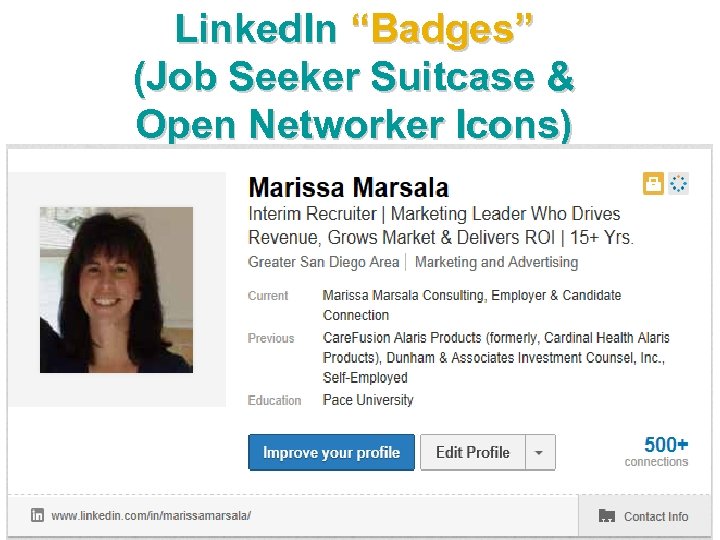 Linked. In “Badges” (Job Seeker Suitcase & Open Networker Icons) 