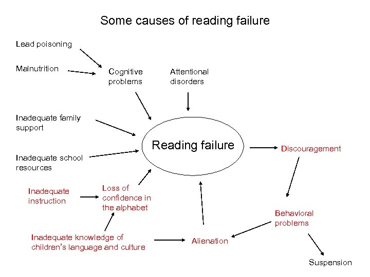 Some causes of reading failure Lead poisoning Malnutrition Cognitive problems Attentional disorders Inadequate family