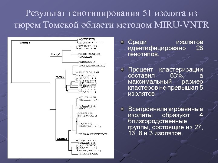 Результат генотипирования 51 изолята из тюрем Томской области методом MIRU-VNTR Среди изолятов идентифицировано 28