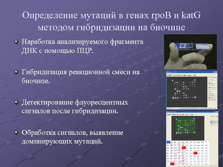 Определение мутаций в генах rpo. B и kаt. G методом гибридизации на биочипе Наработка