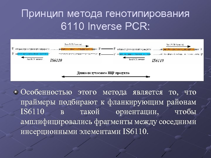 Принцип метода генотипирования 6110 Inverse PCR: Особенностью этого метода является то, что праймеры подбирают