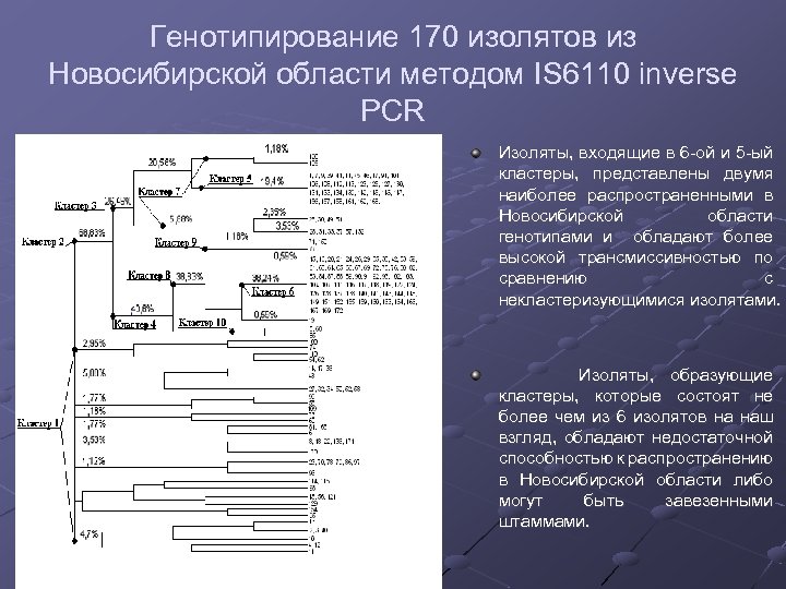 Генотипирование 170 изолятов из Новосибирской области методом IS 6110 inverse PCR Изоляты, входящие в