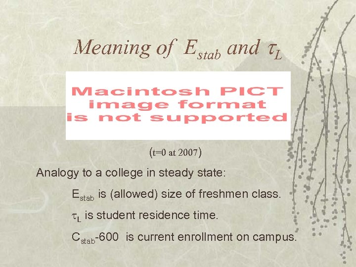 Meaning of Estab and L (t=0 at 2007) Analogy to a college in steady