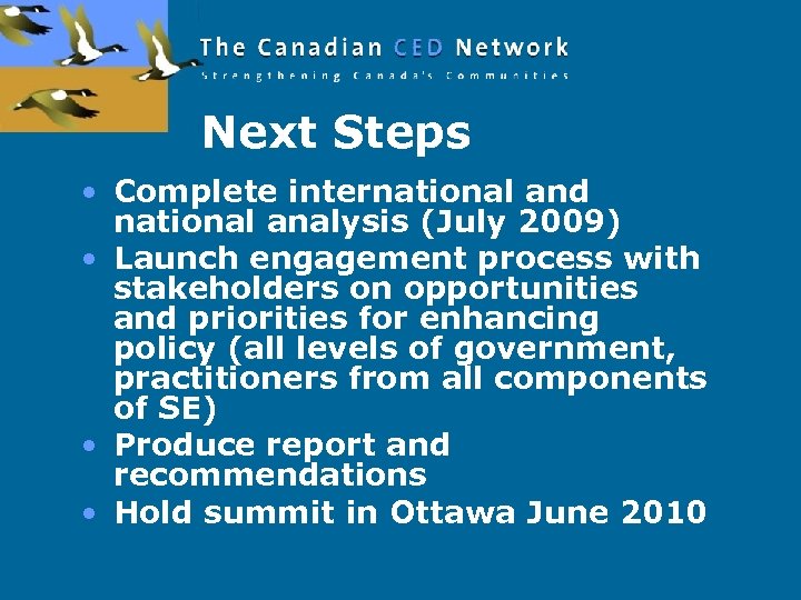 Next Steps • Complete international and national analysis (July 2009) • Launch engagement process