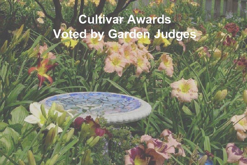 Cultivar Awards Voted by Garden Judges 