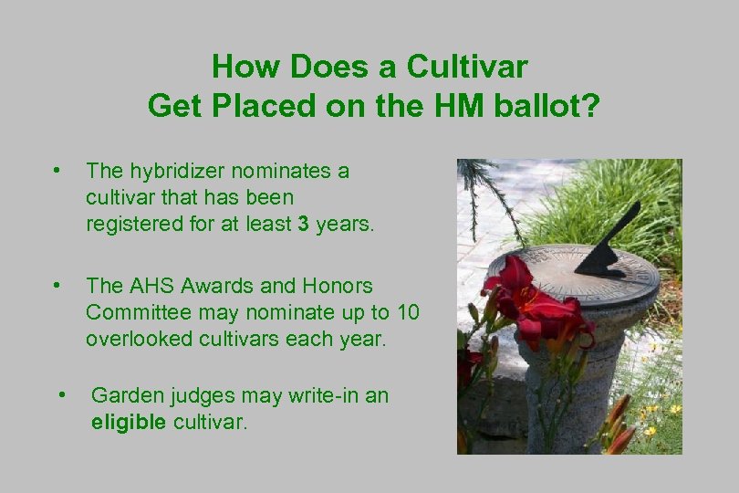 How Does a Cultivar Get Placed on the HM ballot? • The hybridizer nominates