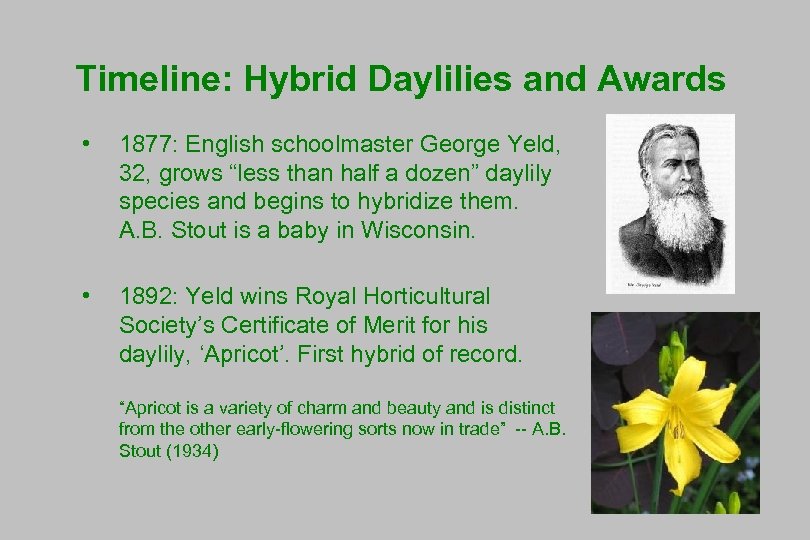 Timeline: Hybrid Daylilies and Awards • 1877: English schoolmaster George Yeld, 32, grows “less