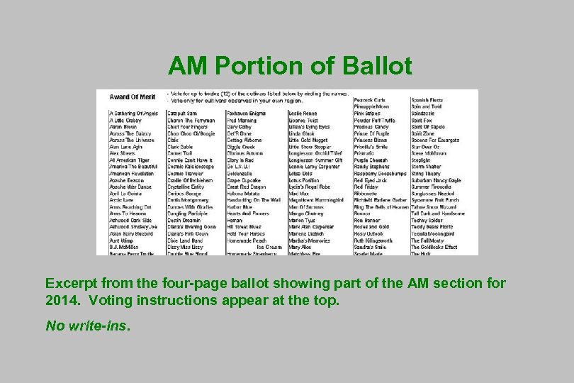 AM Portion of Ballot Excerpt from the four-page ballot showing part of the AM