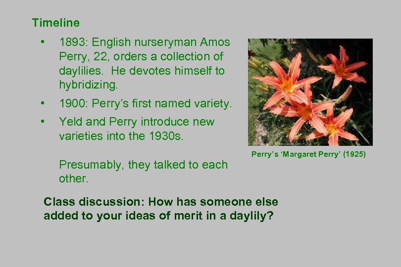 Timeline • 1893: English nurseryman Amos Perry, 22, orders a collection of daylilies. He