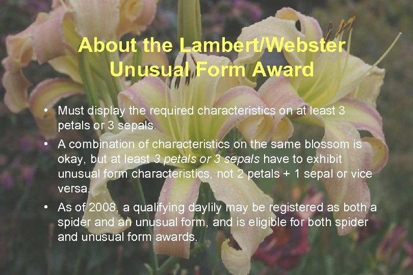 About the Lambert/Webster Unusual Form Award • Must display the required characteristics on at