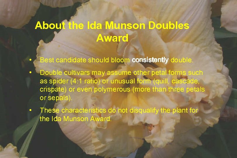 About the Ida Munson Doubles Award • Best candidate should bloom consistently double. •