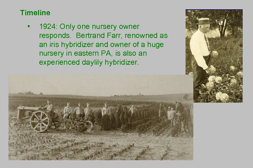 Timeline • 1924: Only one nursery owner responds. Bertrand Farr, renowned as an iris