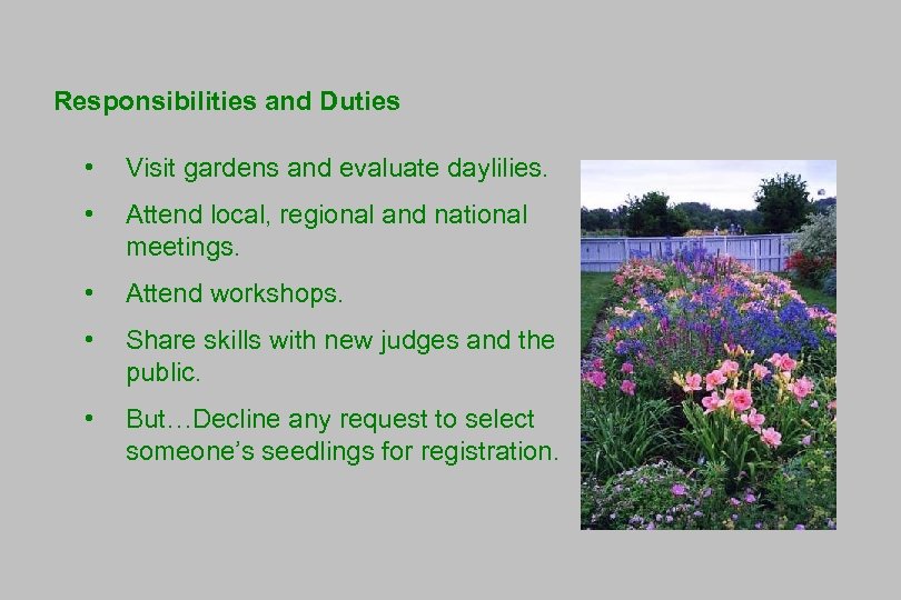 Responsibilities and Duties • Visit gardens and evaluate daylilies. • Attend local, regional and