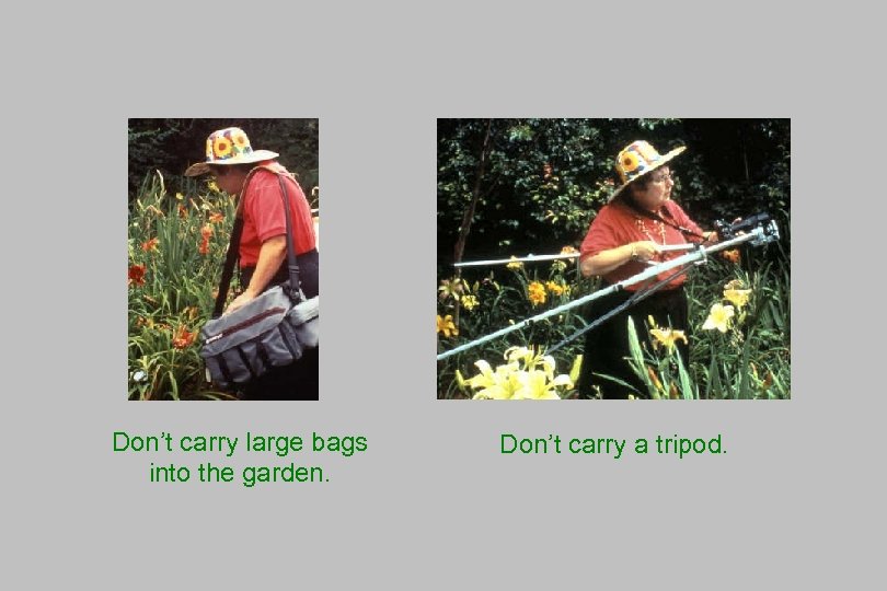 Don’t carry large bags into the garden. Don’t carry a tripod. 