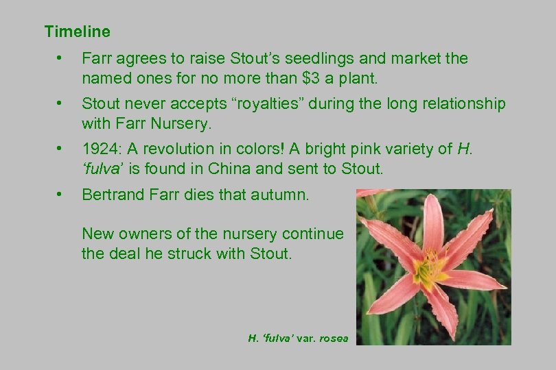 Timeline • Farr agrees to raise Stout’s seedlings and market the named ones for