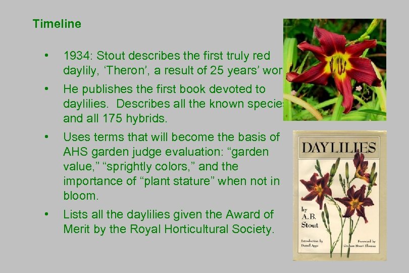 Timeline • 1934: Stout describes the first truly red daylily, ‘Theron’, a result of