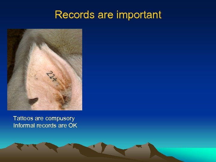 Records are important Tattoos are compusory Informal records are OK 