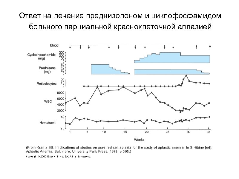 Ответ на лечение преднизолоном и циклофосфамидом больного парциальной красноклеточной аплазией 
