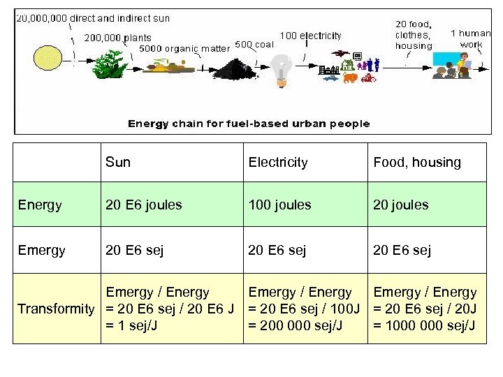  Sun Electricity Food, housing Energy 20 E 6 joules 100 joules 20 joules