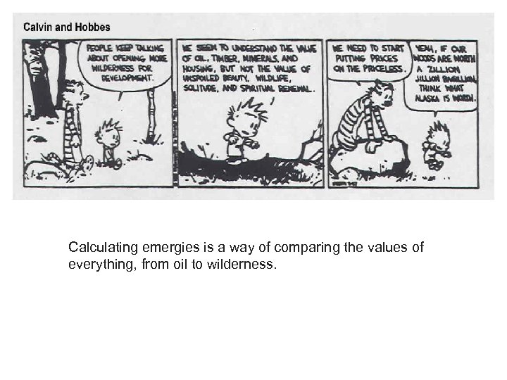 Calculating emergies is a way of comparing the values of everything, from oil to
