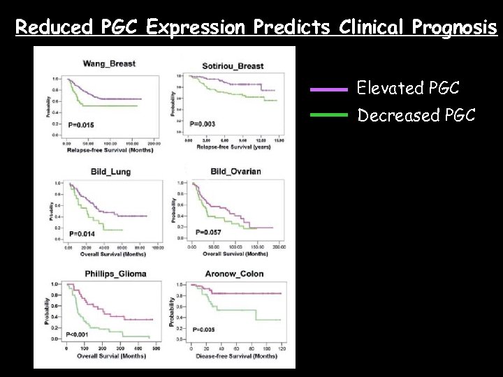 Reduced PGC Expression Predicts Clinical Prognosis Elevated PGC Decreased PGC 