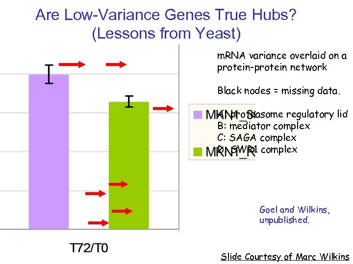 Are Low-Variance Genes True Hubs? (Lessons from Yeast) m. RNA variance overlaid on a