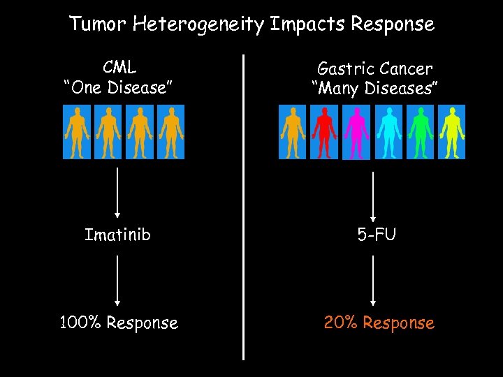Tumor Heterogeneity Impacts Response CML “One Disease” Gastric Cancer “Many Diseases” Imatinib 5 -FU