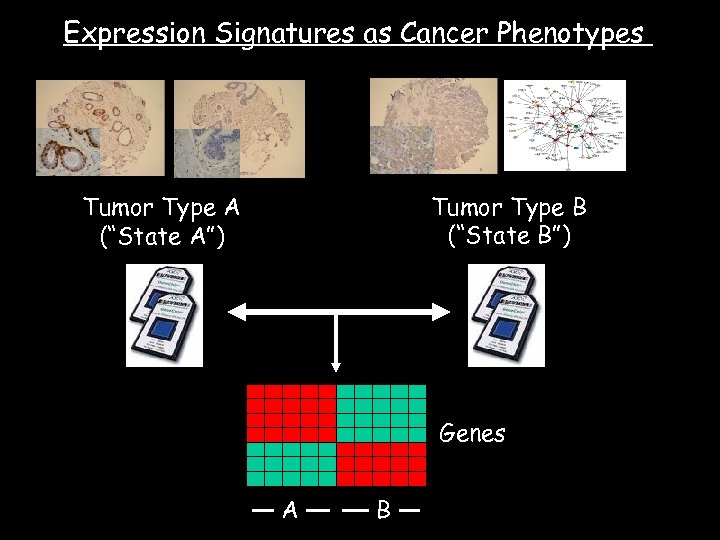 Expression Signatures as Cancer Phenotypes Tumor Type B (“State B”) Tumor Type A (“State