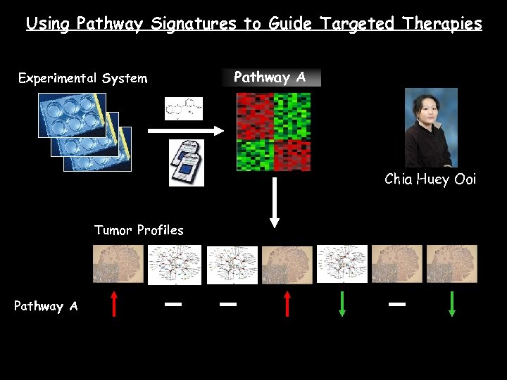 Using Pathway Signatures to Guide Targeted Therapies Experimental System Pathway A Chia Huey Ooi