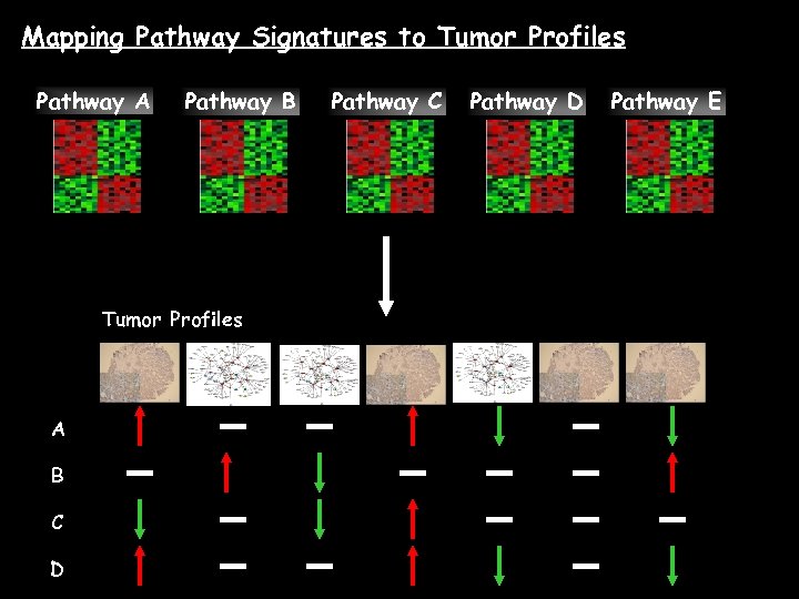 Mapping Pathway Signatures to Tumor Profiles Pathway A Pathway B Tumor Profiles A B
