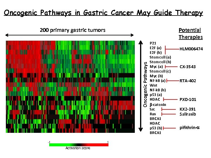 Oncogenic Pathways in Gastric Cancer May Guide Therapy Potential Therapies Oncogenic Pathways 200 primary