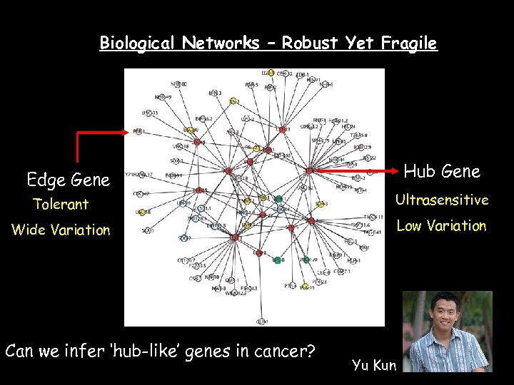 Biological Networks – Robust Yet Fragile Edge Gene Hub Gene Tolerant Ultrasensitive Wide Variation