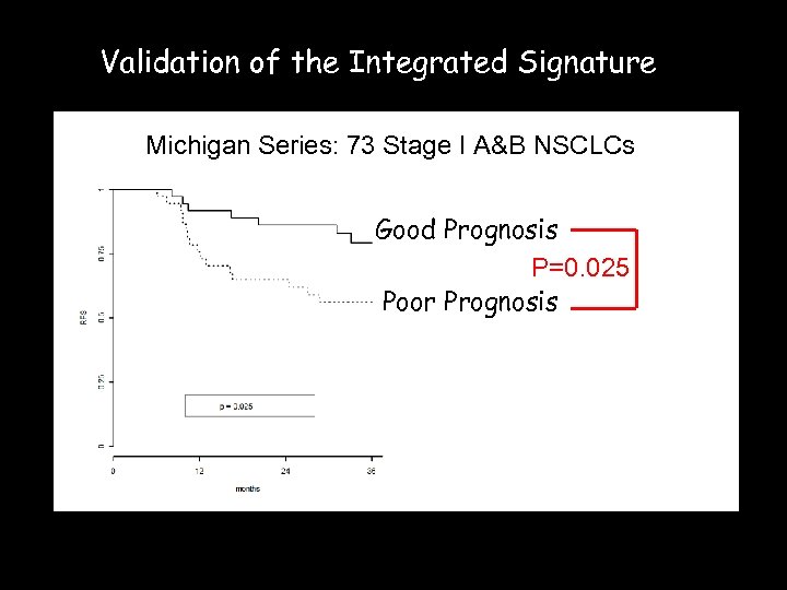 Validation of the Integrated Signature Michigan Series: 73 Stage I A&B NSCLCs Good Prognosis