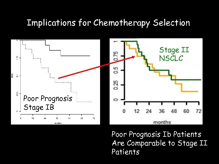 Implications for Chemotherapy Selection Stage II NSCLC Poor Prognosis Stage IB Poor Prognosis Ib