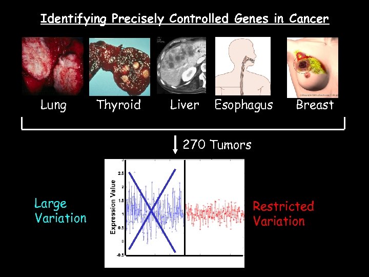 Identifying Precisely Controlled Genes in Cancer Lung Thyroid Liver Esophagus Breast 270 Tumors Large