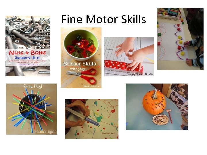 Fine Motor Skills 