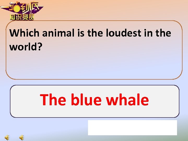 Which animal is the loudest in the world? The blue whale 