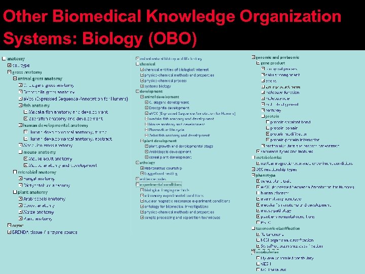 Other Biomedical Knowledge Organization Systems: Biology (OBO) 