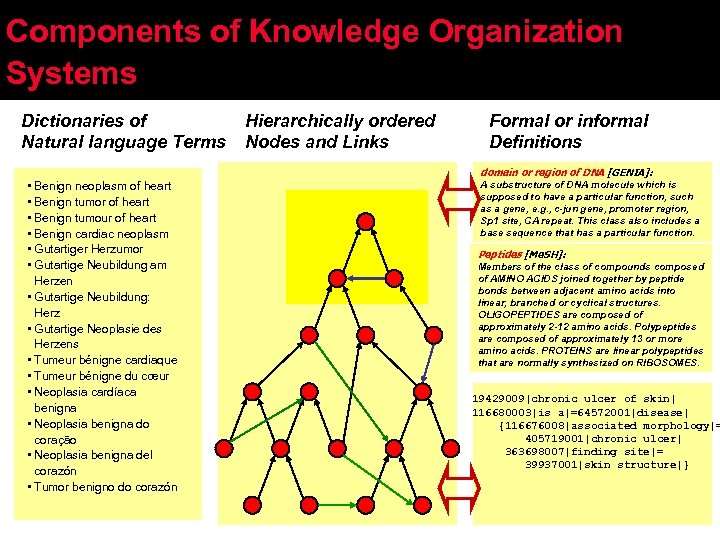 Components of Knowledge Organization Systems Dictionaries of Natural language Terms Hierarchically ordered Nodes and