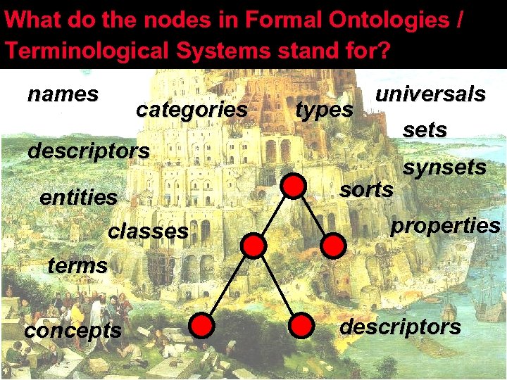 What do the nodes in Formal Ontologies / Terminological Systems stand for? names categories