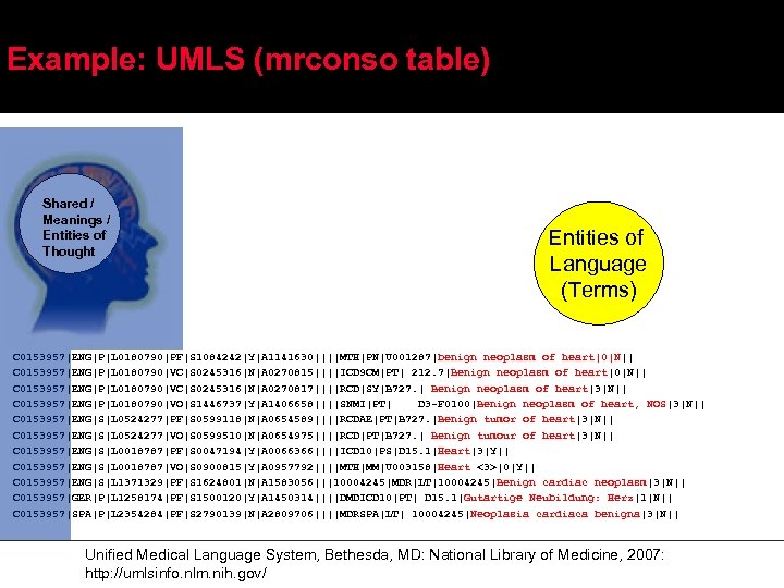 Example: UMLS (mrconso table) Shared / Meanings / Entities of Thought Entities of Language