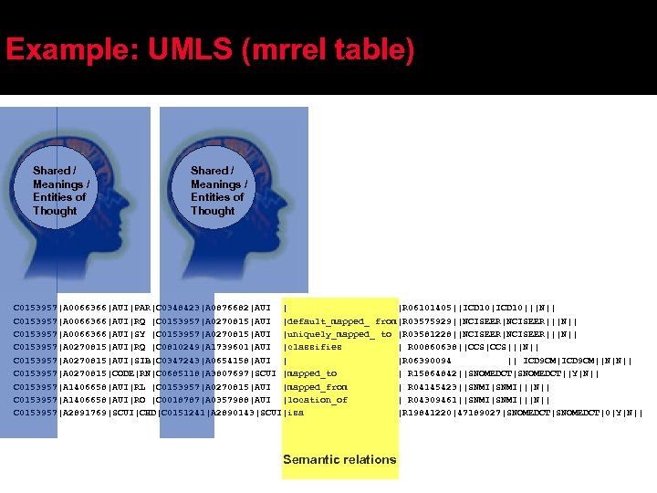 Example: UMLS (mrrel table) Shared / Meanings / Entities of Thought C 0153957|A 0066366|AUI|PAR|C