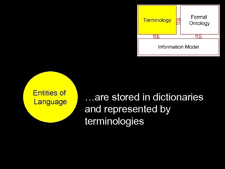 Entities of Language …are stored in dictionaries and represented by terminologies 