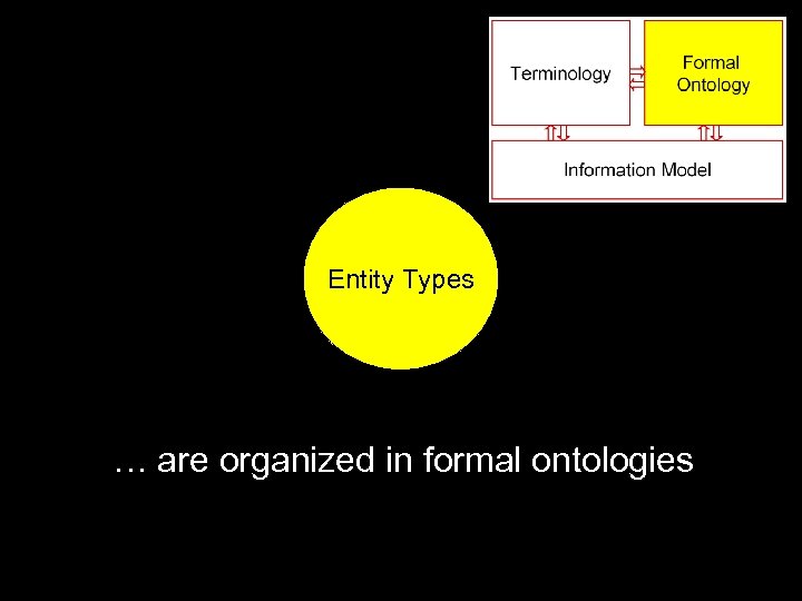 Entity Types … are organized in formal ontologies 