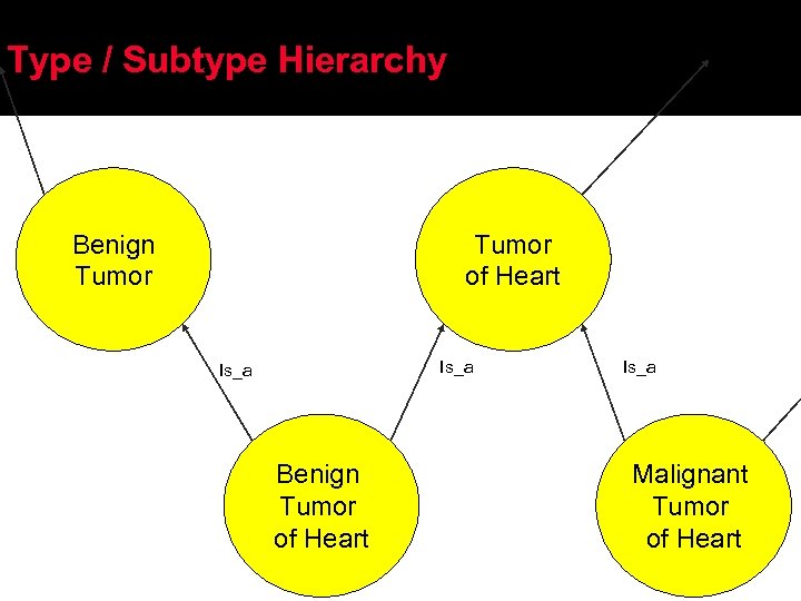 Type / Subtype Hierarchy Benign Tumor of Heart Is_a Malignant Tumor of Heart 