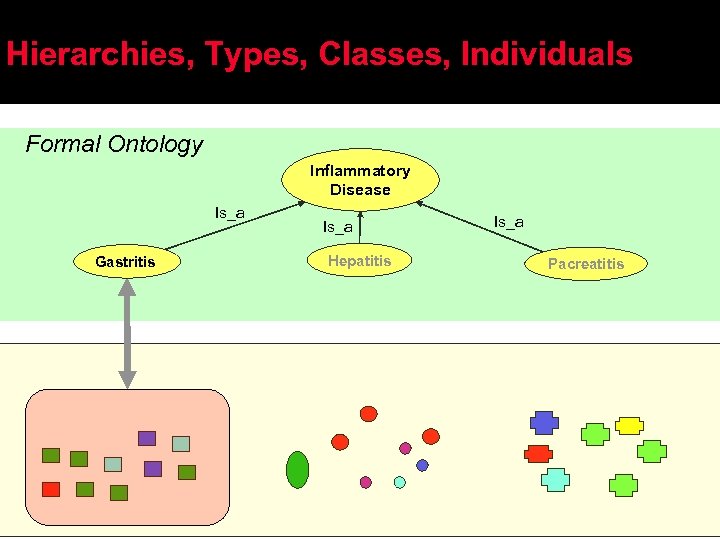Hierarchies, Types, Classes, Individuals Formal Ontology Inflammatory Disease Is_a Gastritis Is_a Hepatitis Is_a Pacreatitis