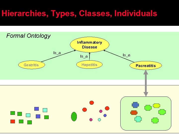 Hierarchies, Types, Classes, Individuals Formal Ontology Inflammatory Disease Is_a Gastritis Is_a Hepatitis Is_a Pacreatitis