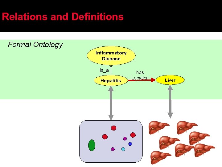 Relations and Definitions Formal Ontology Inflammatory Disease Is_a Hepatitis has Location Liver 